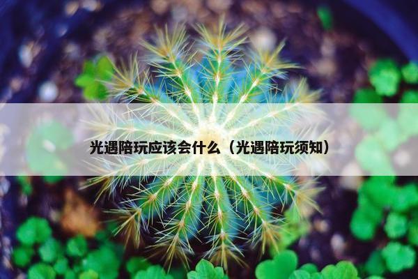 光遇陪玩应该会什么（光遇陪玩须知）