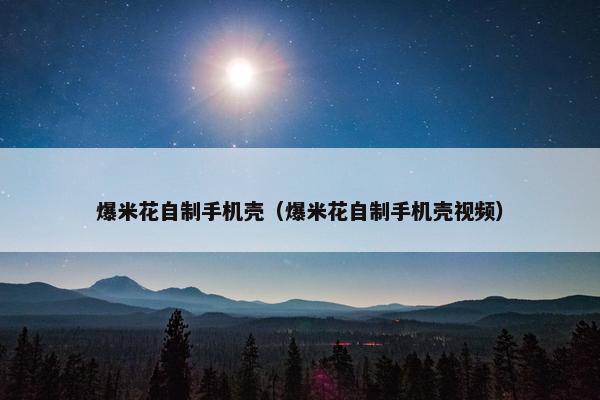 爆米花自制手机壳（爆米花自制手机壳视频）