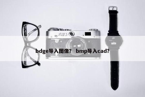 bdge导入图像？ bmp导入cad？