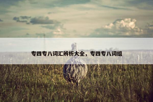 专四专八词汇辨析大全，专四专八词组