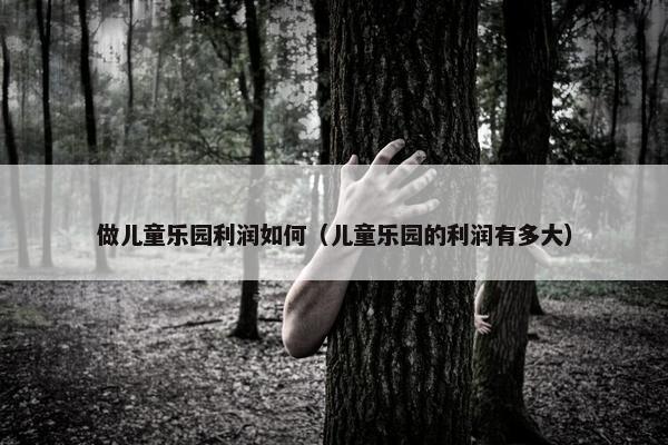 做儿童乐园利润如何（儿童乐园的利润有多大）