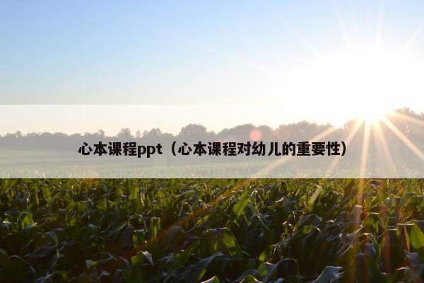 心本课程ppt（心本课程对幼儿的重要性）