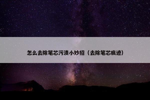 怎么去除笔芯污渍小妙招（去除笔芯痕迹）