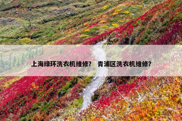 上海绿环洗衣机维修？ 青浦区洗衣机维修？