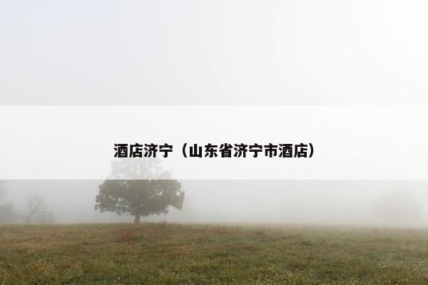 酒店济宁（山东省济宁市酒店）