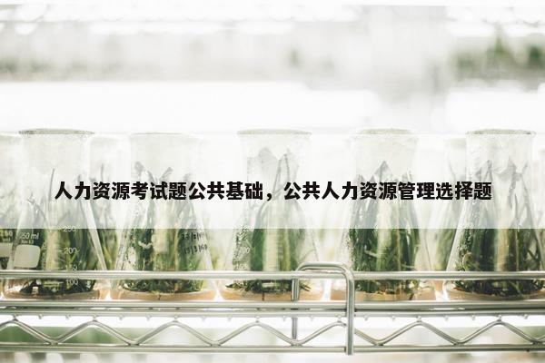 人力资源考试题公共基础，公共人力资源管理选择题