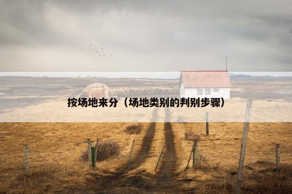 按场地来分（场地类别的判别步骤）