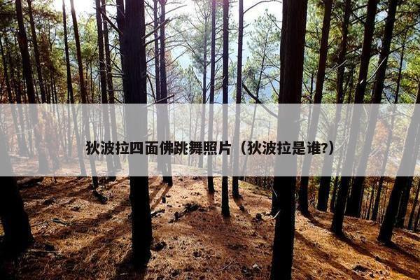 狄波拉四面佛跳舞照片（狄波拉是谁?）