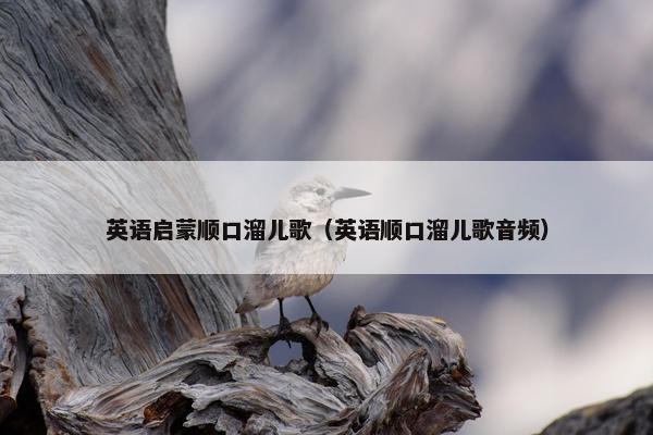英语启蒙顺口溜儿歌（英语顺口溜儿歌音频）