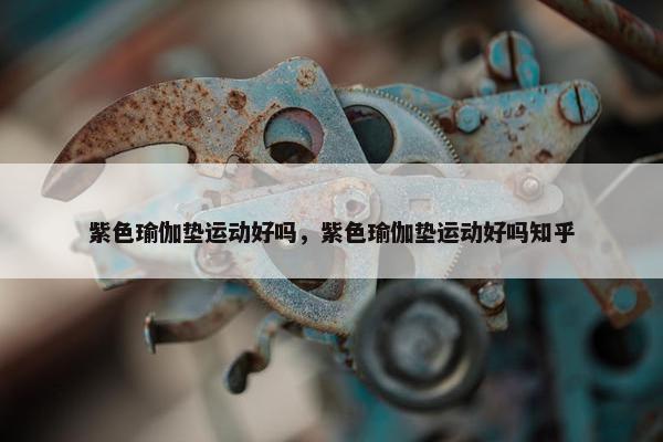 紫色瑜伽垫运动好吗，紫色瑜伽垫运动好吗知乎