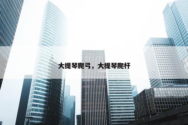 大提琴爬弓，大提琴爬杆