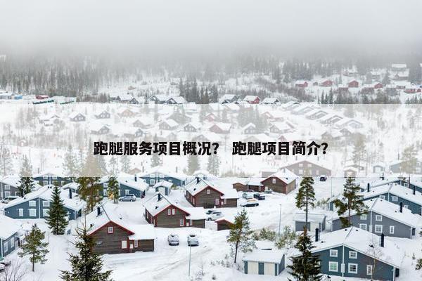 跑腿服务项目概况？ 跑腿项目简介？