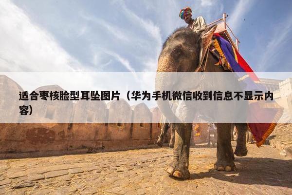 适合枣核脸型耳坠图片（华为手机微信收到信息不显示内容）