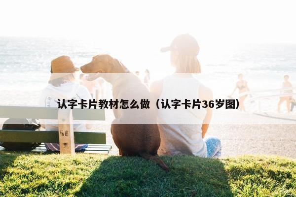 认字卡片教材怎么做（认字卡片36岁图）
