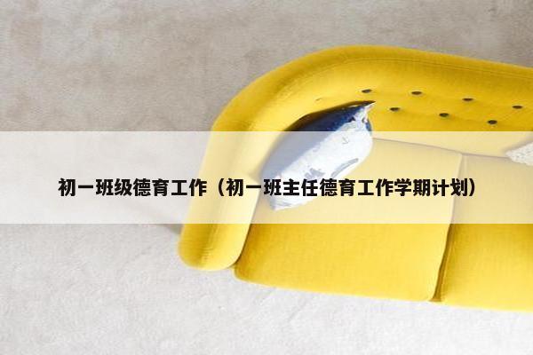 初一班级德育工作（初一班主任德育工作学期计划）