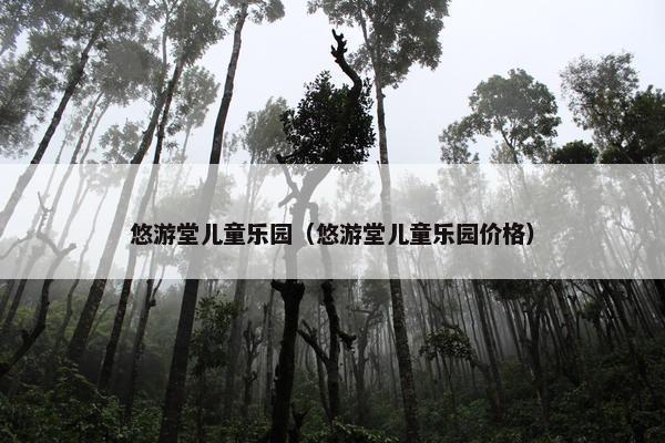 悠游堂儿童乐园（悠游堂儿童乐园价格）