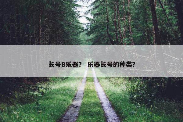 长号B乐器？ 乐器长号的种类？