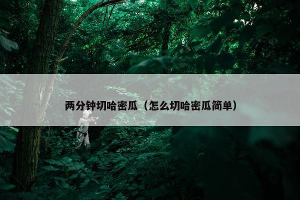 两分钟切哈密瓜（怎么切哈密瓜简单）