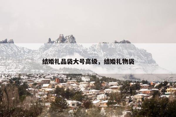 结婚礼品袋大号高级，结婚礼物袋