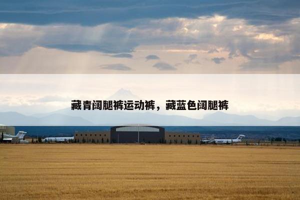 藏青阔腿裤运动裤，藏蓝色阔腿裤