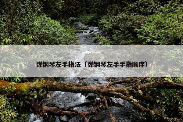 弹钢琴左手指法（弹钢琴左手手指顺序）