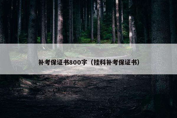 补考保证书800字（挂科补考保证书）