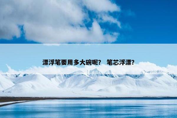 漂浮笔要用多大碗呢？ 笔芯浮漂？