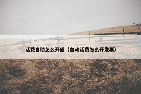话费自助怎么开通（自动话费怎么开发票）