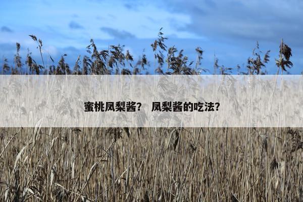 蜜桃凤梨酱？ 凤梨酱的吃法？