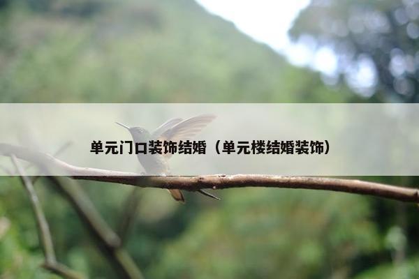 单元门口装饰结婚（单元楼结婚装饰）