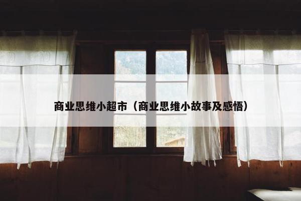 商业思维小超市（商业思维小故事及感悟）