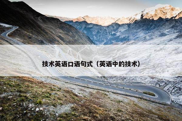技术英语口语句式（英语中的技术）