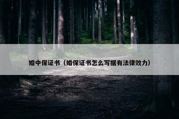 婚中保证书（婚保证书怎么写据有法律效力）