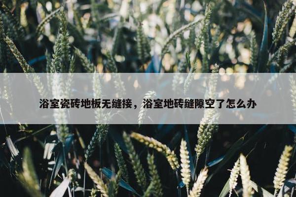 浴室瓷砖地板无缝接，浴室地砖缝隙空了怎么办