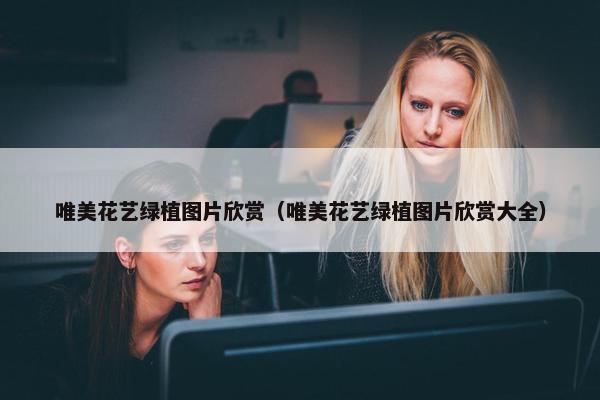 唯美花艺绿植图片欣赏（唯美花艺绿植图片欣赏大全）