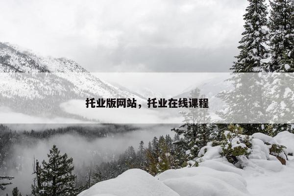 托业版网站，托业在线课程