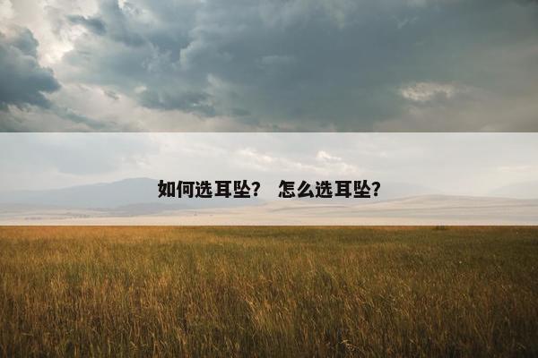 如何选耳坠？ 怎么选耳坠？