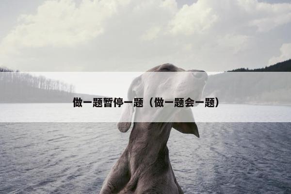 做一题暂停一题（做一题会一题）