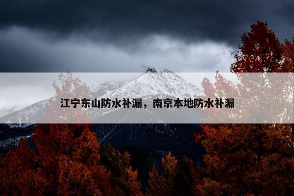 江宁东山防水补漏，南京本地防水补漏