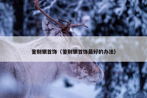 鉴别银首饰（鉴别银首饰最好的办法）