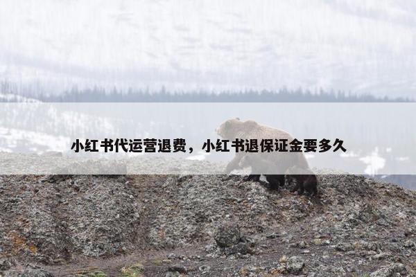 小红书代运营退费，小红书退保证金要多久