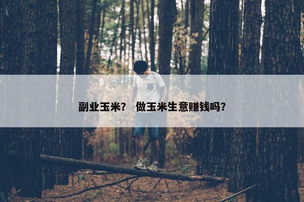 副业玉米？ 做玉米生意赚钱吗？