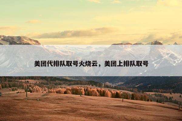 美团代排队取号火烧云，美团上排队取号