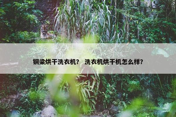 铜梁烘干洗衣机？ 洗衣机烘干机怎么样？