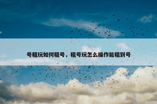 号租玩如何租号，租号玩怎么操作能租到号