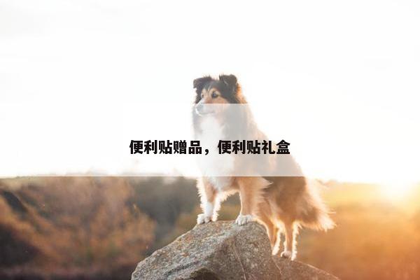 便利贴赠品，便利贴礼盒