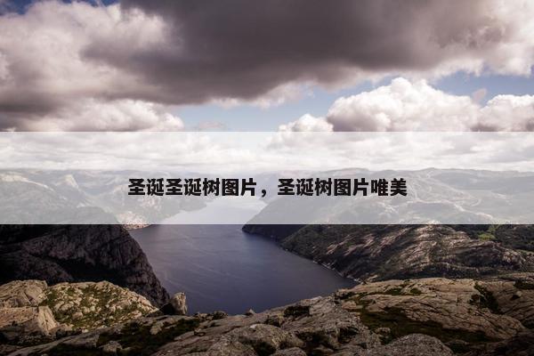圣诞圣诞树图片，圣诞树图片唯美