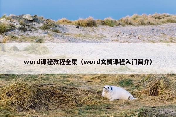 word课程教程全集（word文档课程入门简介）