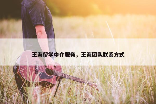 王海留学中介服务，王海团队联系方式