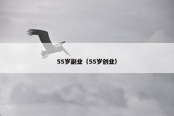 55岁副业（55岁创业）